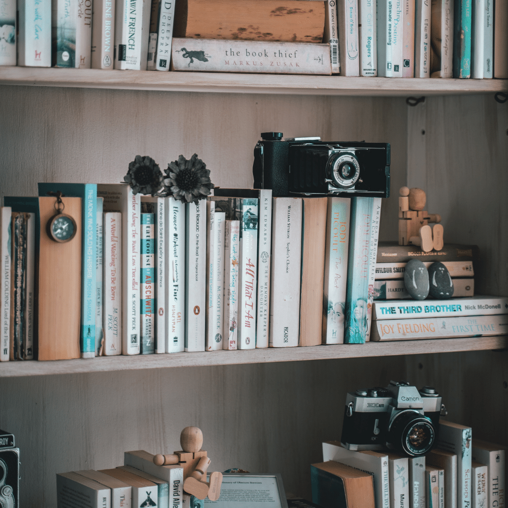 books and cameras - full shelves - photo by Taryn Elliott